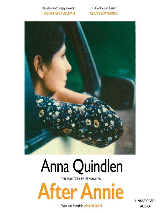 Cover image for After Annie